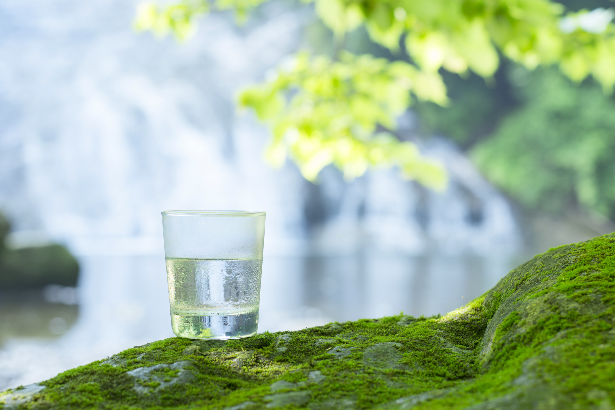 Blessing of nature and safe water.